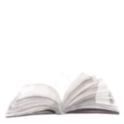 Austin Ryan